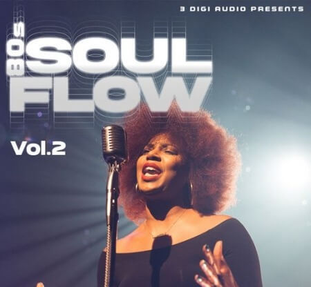 Innovative Samples 80's Soul Flow Vol.2 WAV